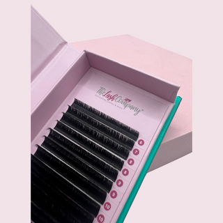 Select Easy Fan Lashes