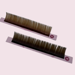 Select Brown Volume Lashes